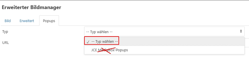 noLupe.jpg